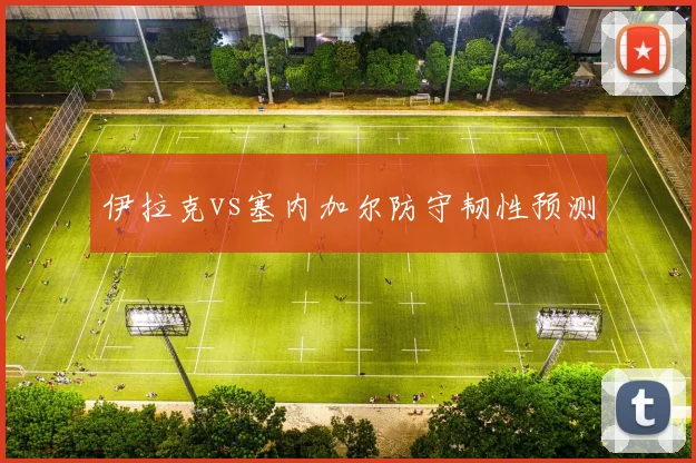 伊拉克vs塞内加尔防守韧性预测